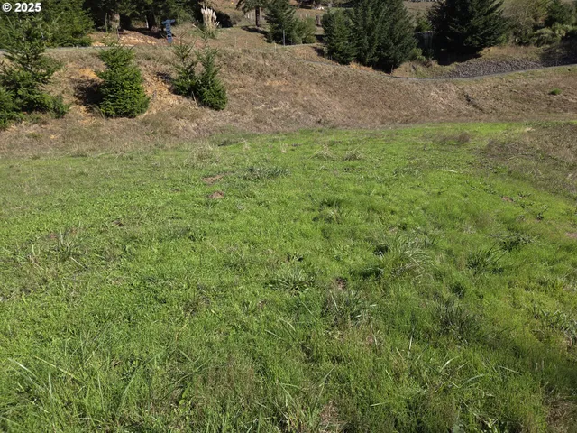 a view of a yard with a tree