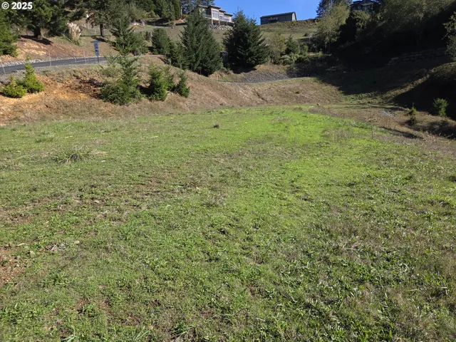 a view of a field with an ocean