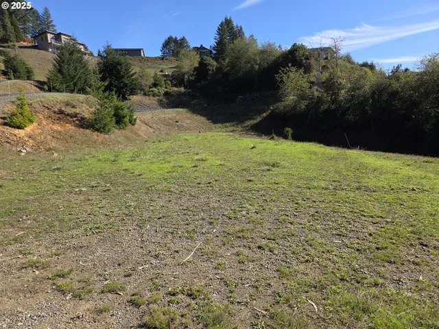 a view of outdoor space and yard
