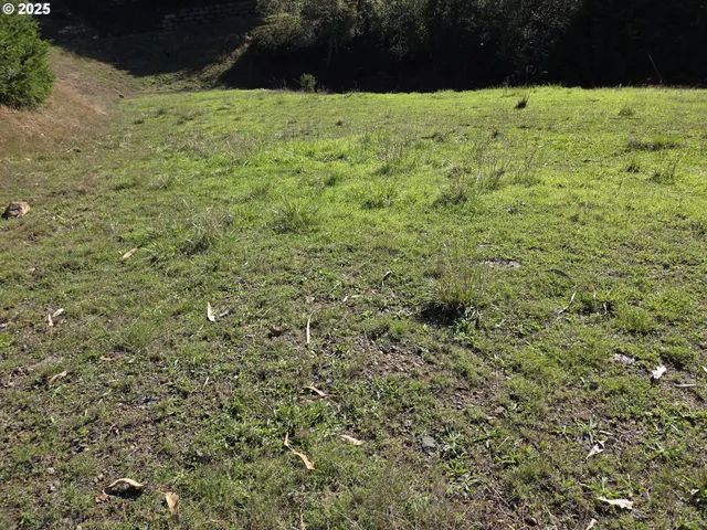 a view of a field with trees