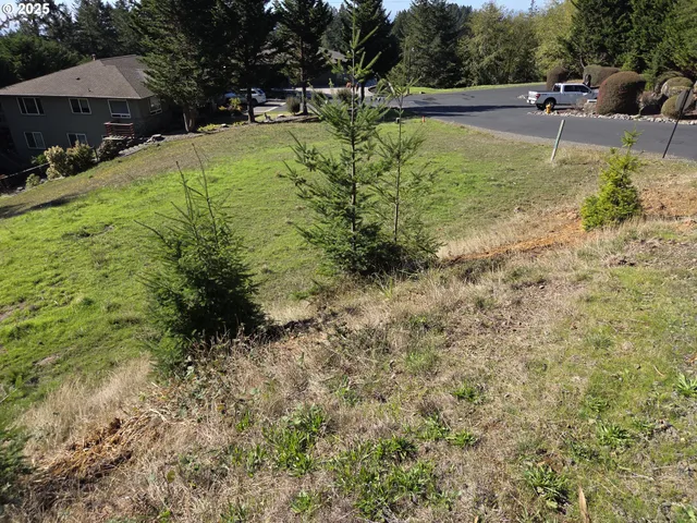 a view of a street with a bench and trees
