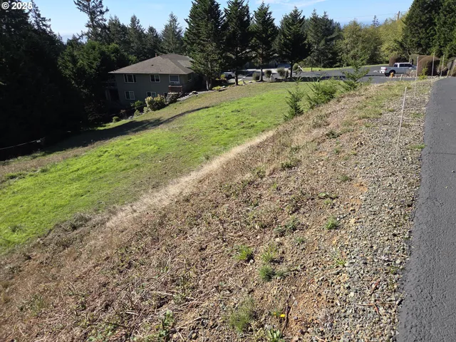 a view of a garden with a bench and trees