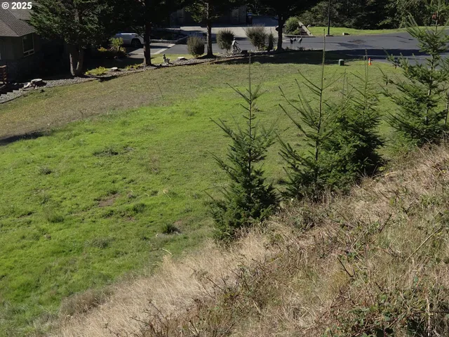 a view of a yard with a tree