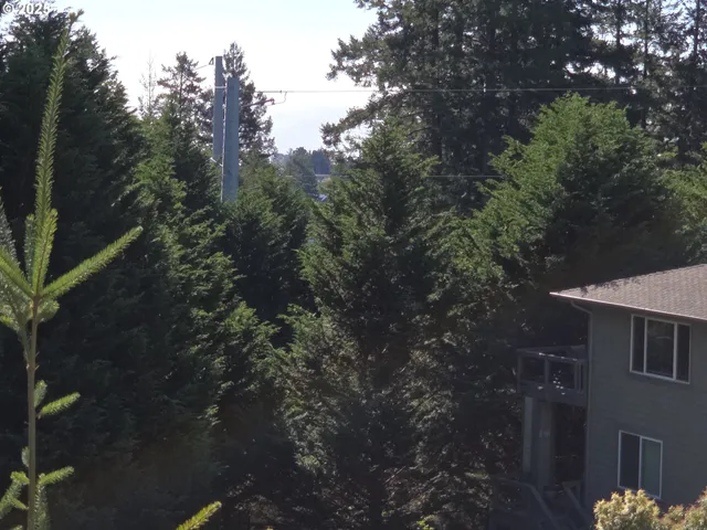 a view of balcony with wooden floor