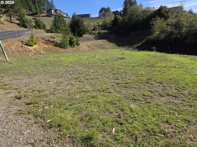 a view of a field with a tree