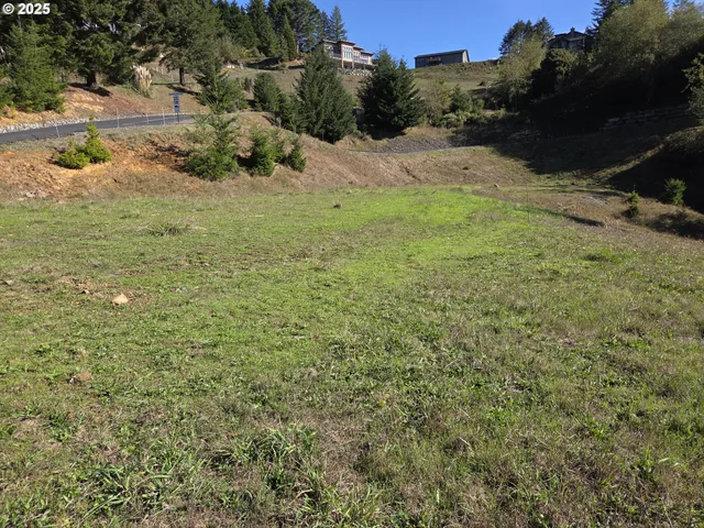 a view of a yard with a tree