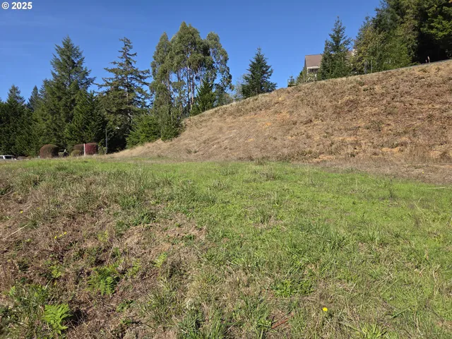 a view of outdoor space and yard