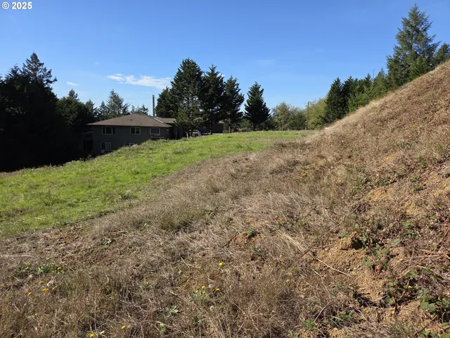 a view of a big yard with plants and a bench