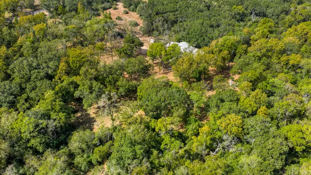 a view of a lush green forest with a houses