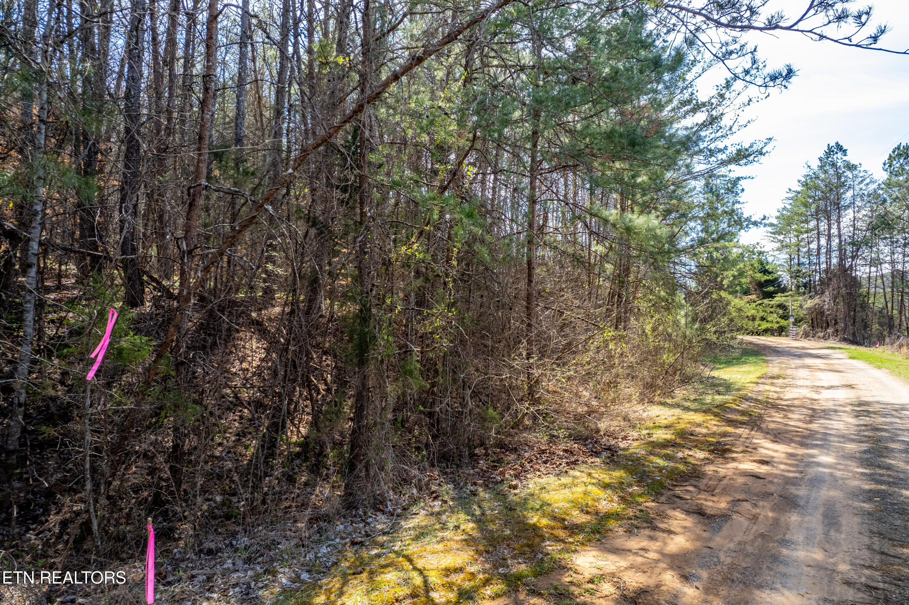 Welch Road Tellico Plains, TN 37385 - Photo 6 of 12 WelchRd,TellicoPlains-38