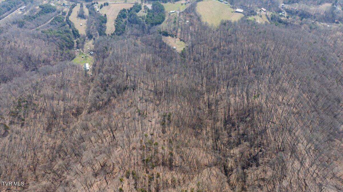 295 Taylor Road Fall Branch, TN 37656 - Photo 53 of 66 52-WBP-Taylor-Rd-52