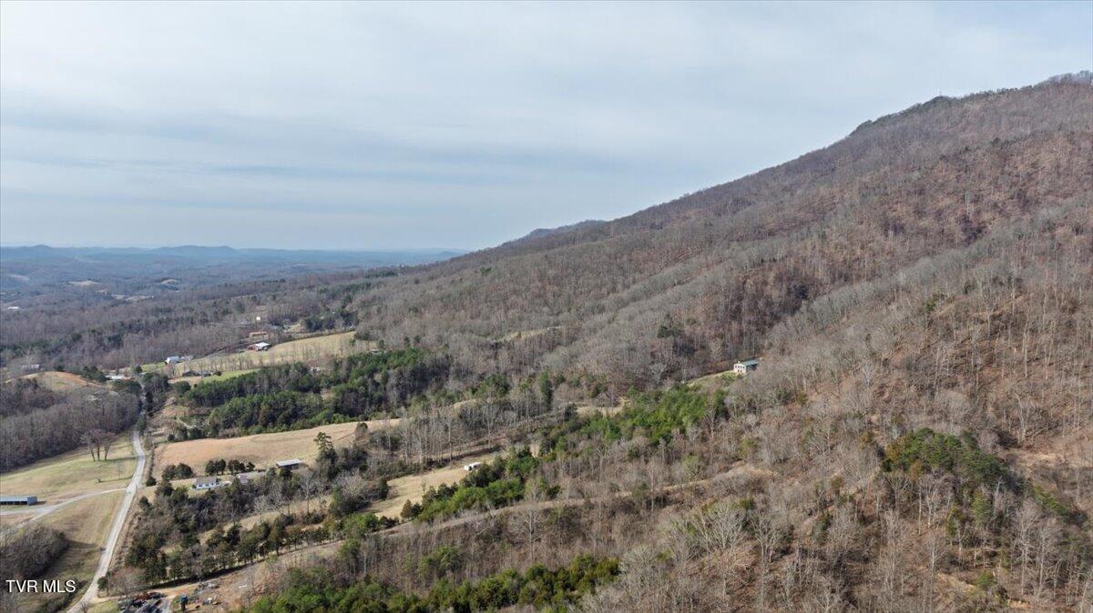295 Taylor Road Fall Branch, TN 37656 - Photo 61 of 66 60-WBP-Taylor-Rd-60