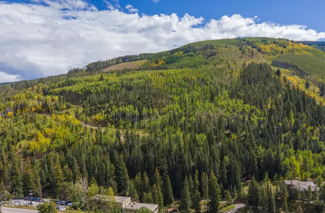 $1,200,000 | 1100 North Frontage Road West, Unit 2313, Vail, CO 81657