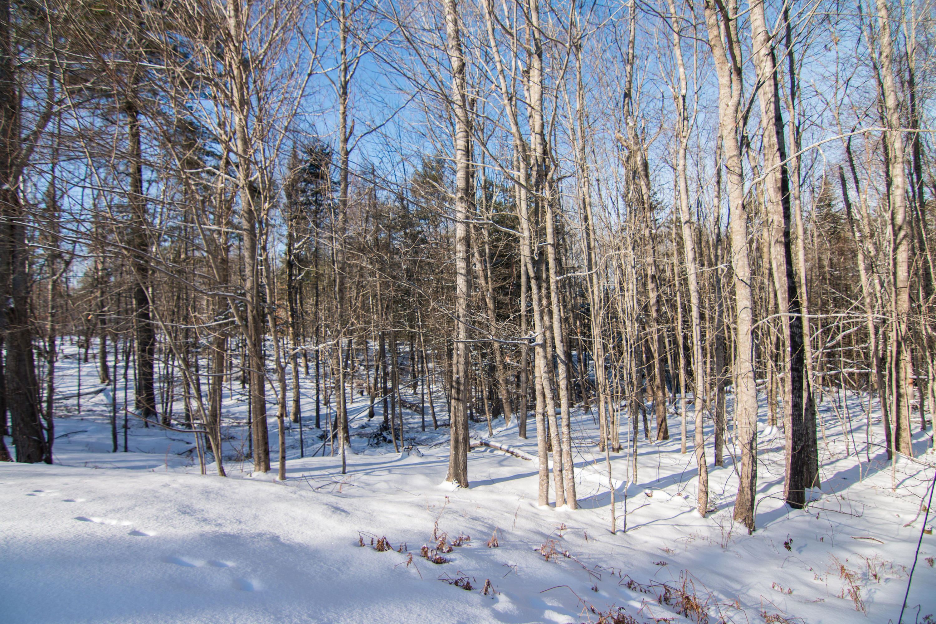 56 Upper Oak Point Road Winterport, ME 04496 - Photo 51 of 51 IMG_3675