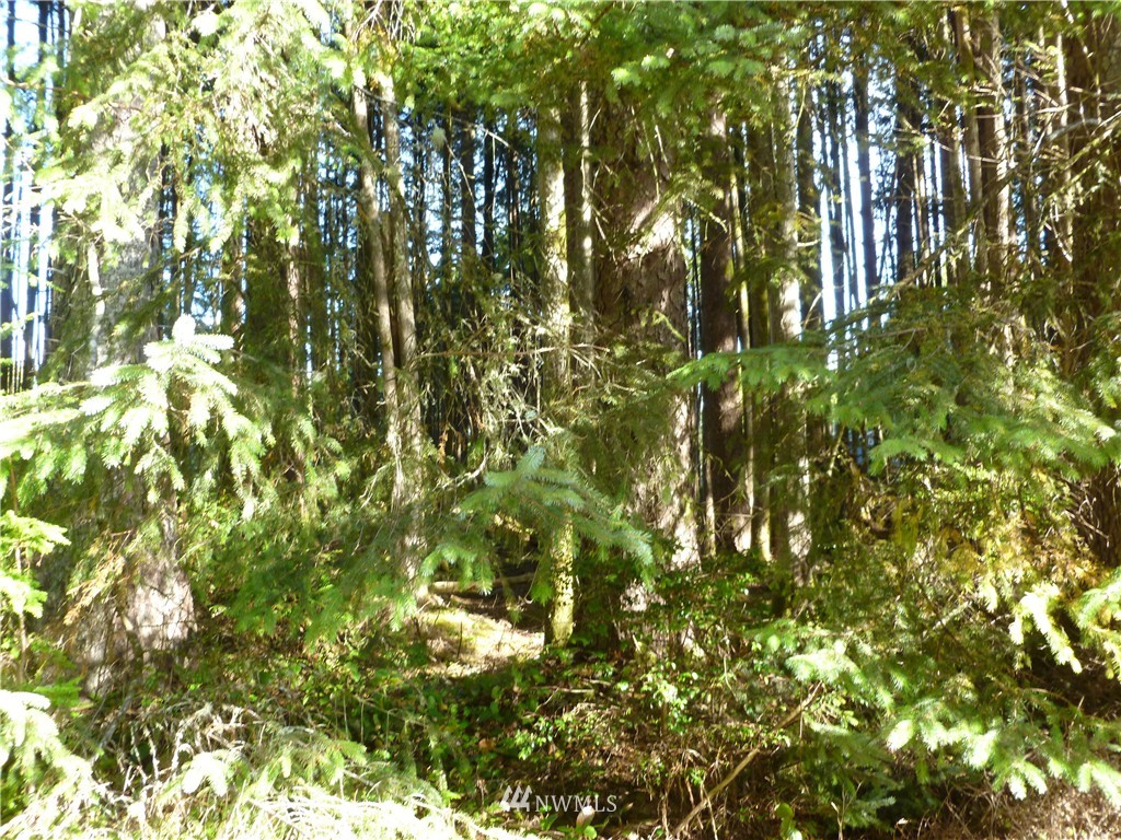 2446 Ocean Beach Road Copalis Crossing, WA 98536 - Photo 1 of 4 Gallery Image 1