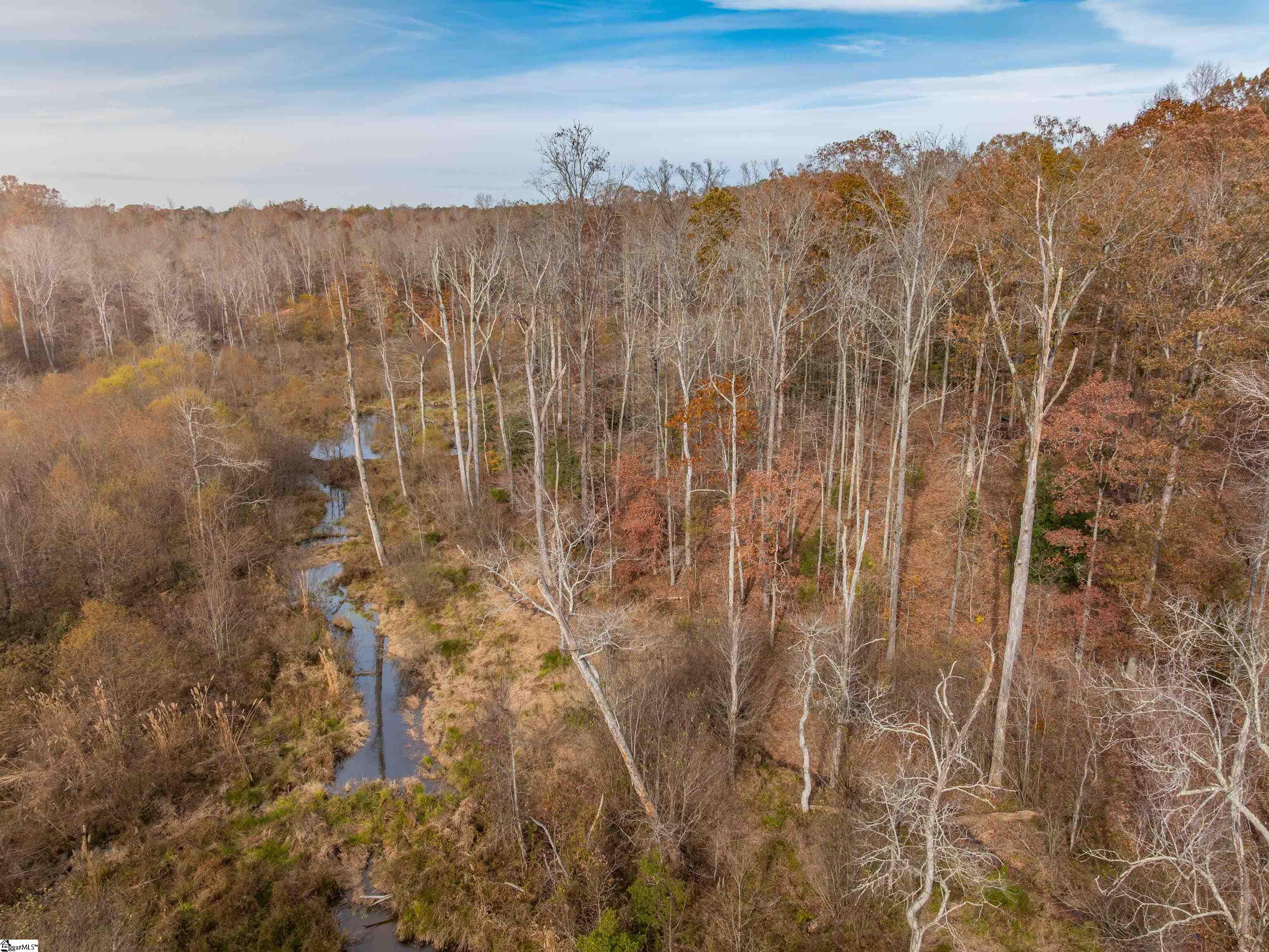 217 West Chapman Road, Unit LOT 1 Belton, SC 29627 - Photo 11 of 44