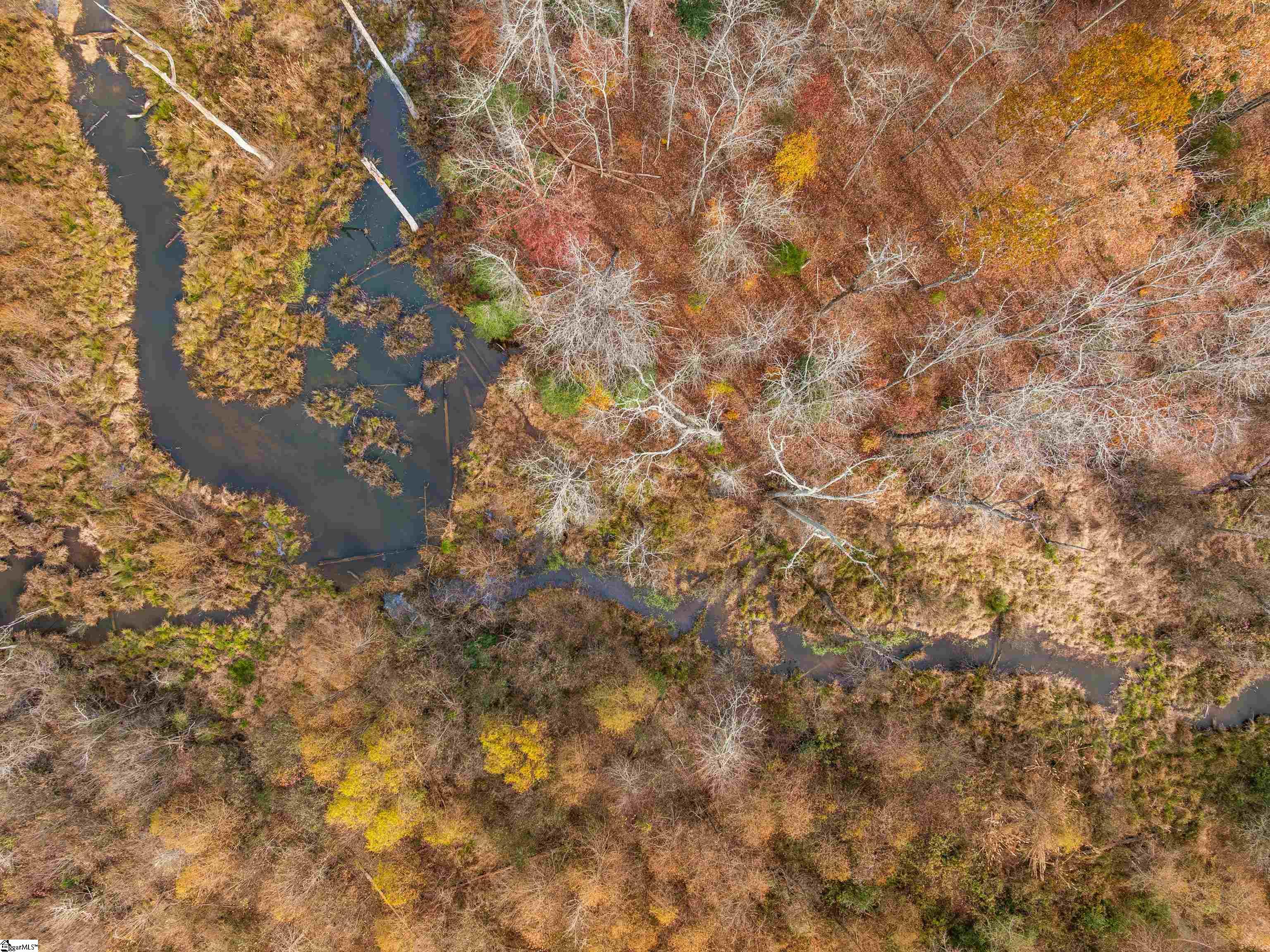 217 West Chapman Road, Unit LOT 1 Belton, SC 29627 - Photo 12 of 44