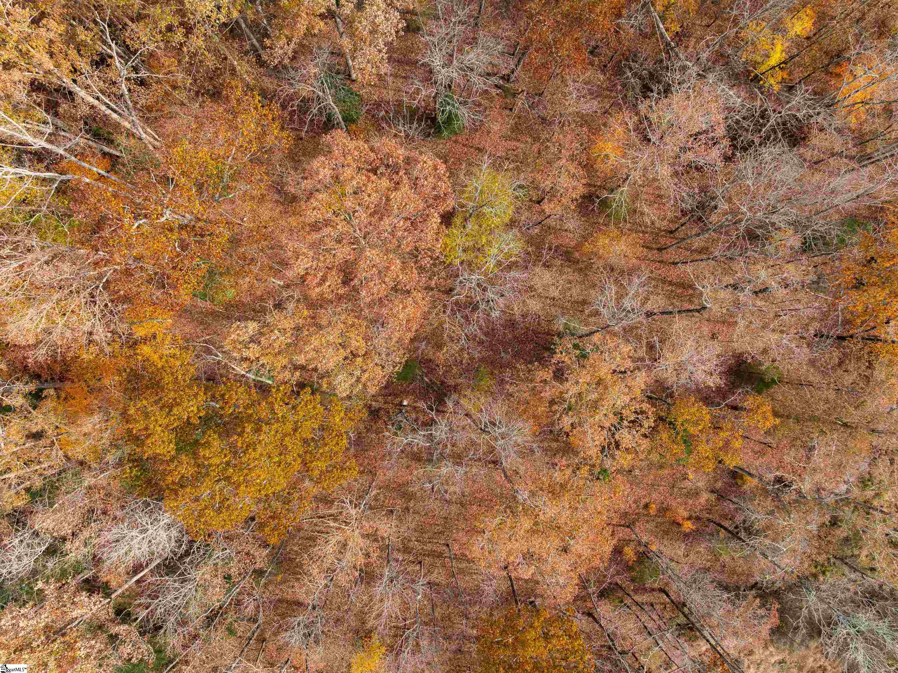 217 West Chapman Road, Unit LOT 1 Belton, SC 29627 - Photo 13 of 44