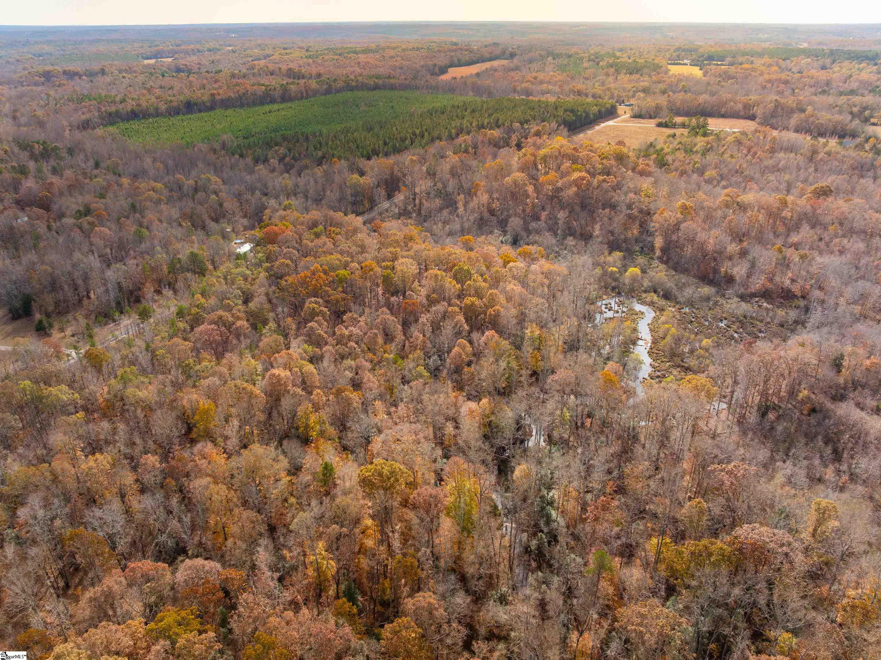 217 West Chapman Road, Unit LOT 1 Belton, SC 29627 - Photo 16 of 44