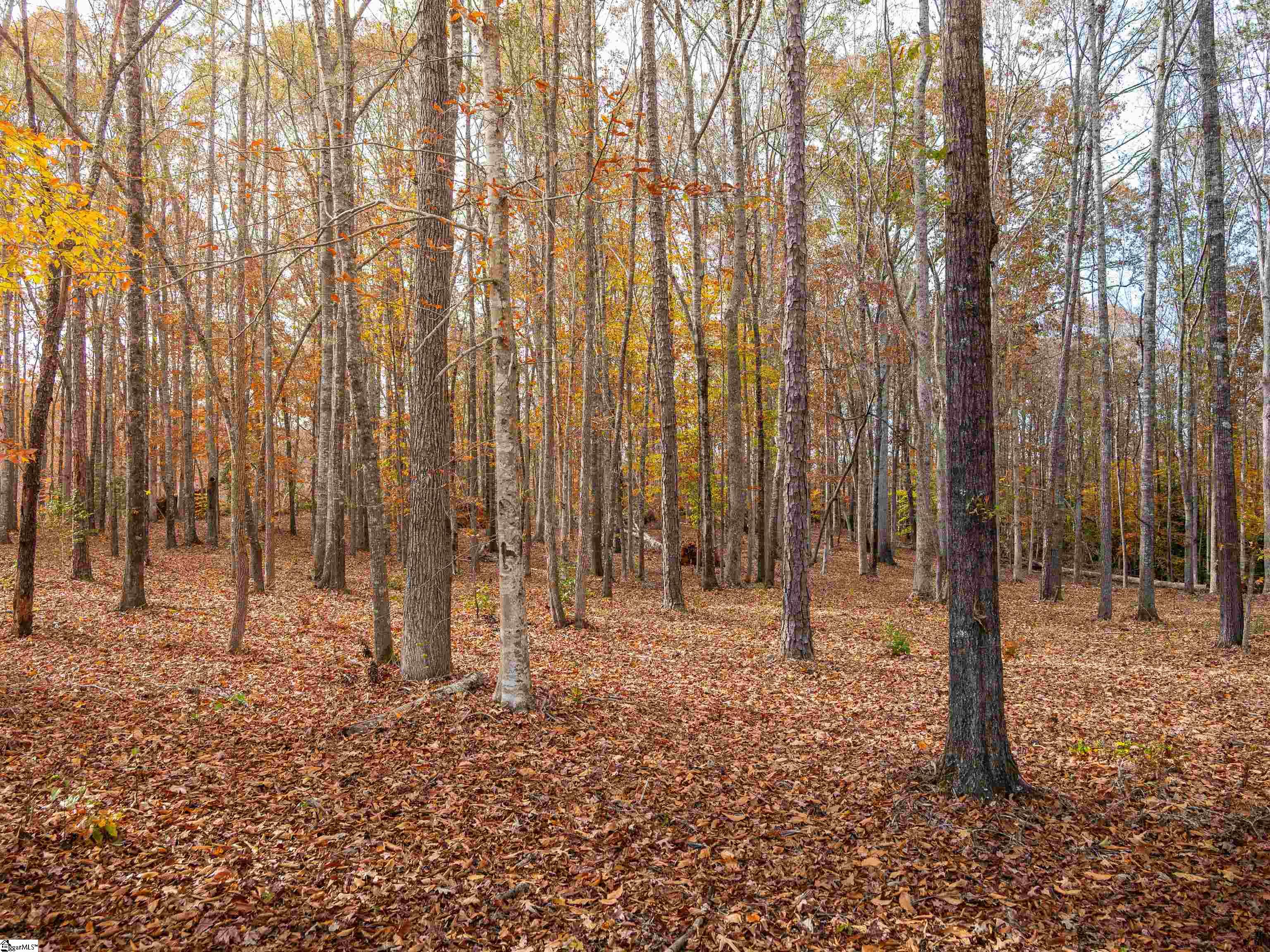 217 West Chapman Road, Unit LOT 1 Belton, SC 29627 - Photo 2 of 44