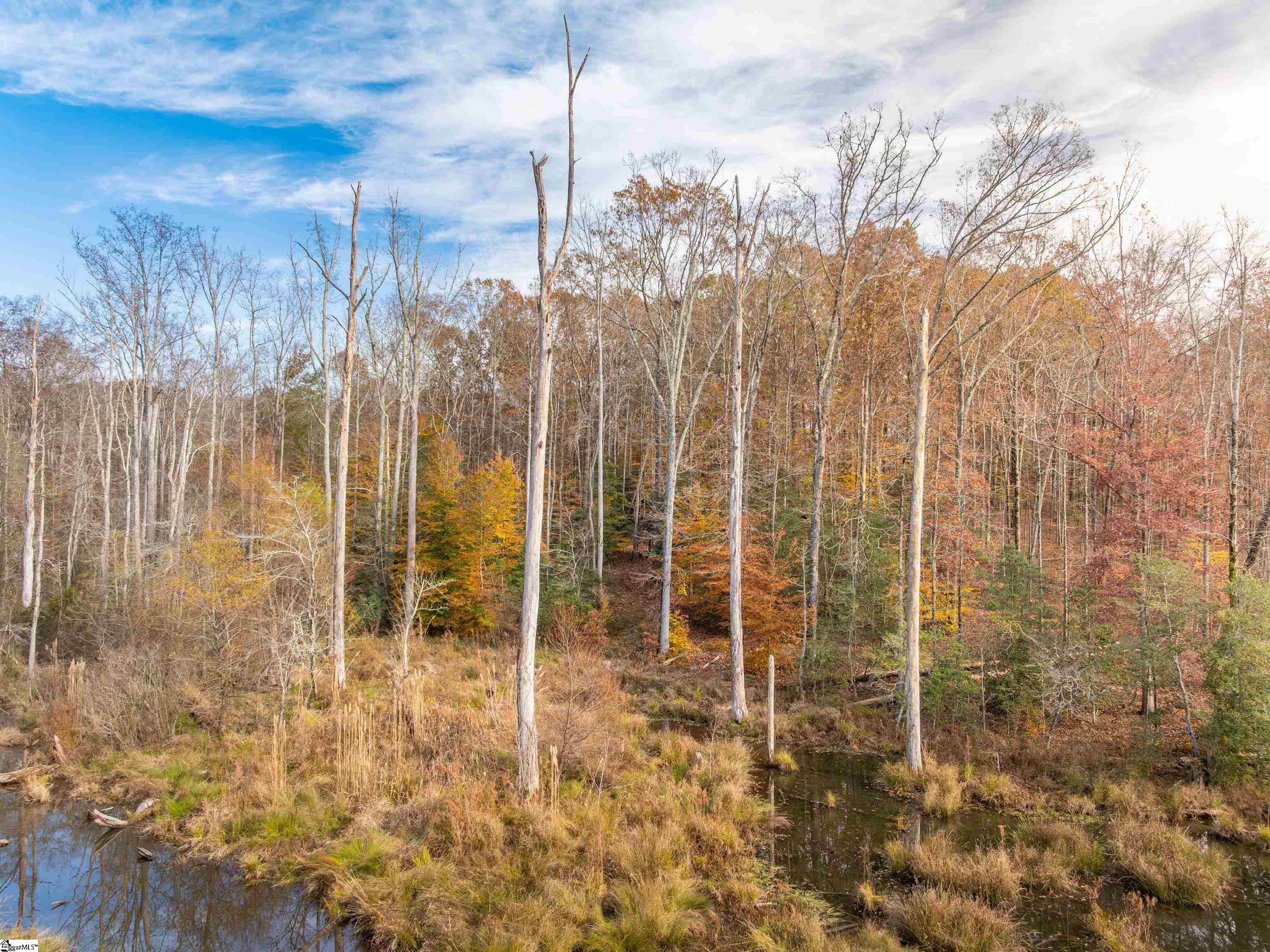 217 West Chapman Road, Unit LOT 1 Belton, SC 29627 - Photo 23 of 44