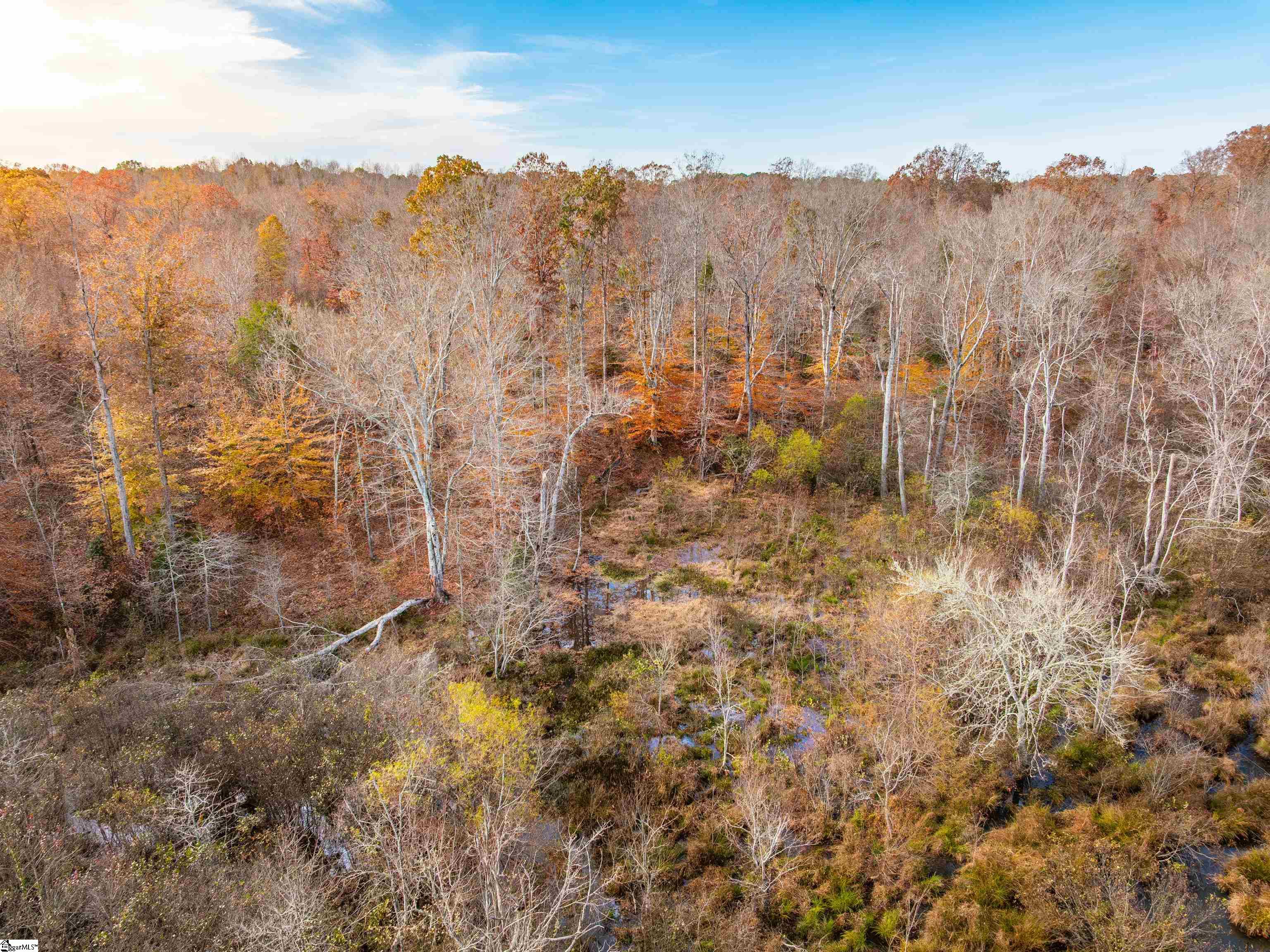 217 West Chapman Road, Unit LOT 1 Belton, SC 29627 - Photo 24 of 44