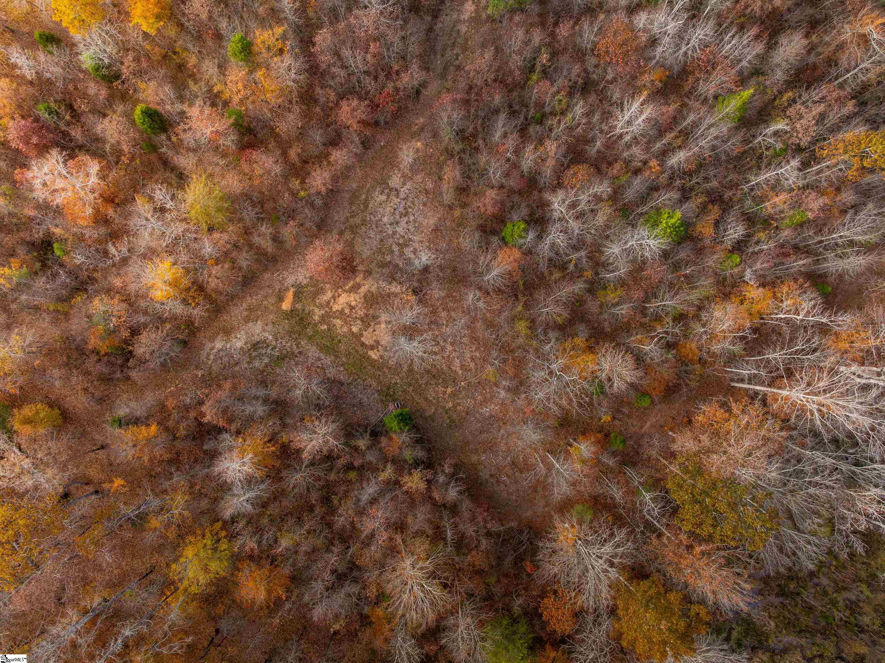 217 West Chapman Road, Unit LOT 1 Belton, SC 29627 - Photo 27 of 44