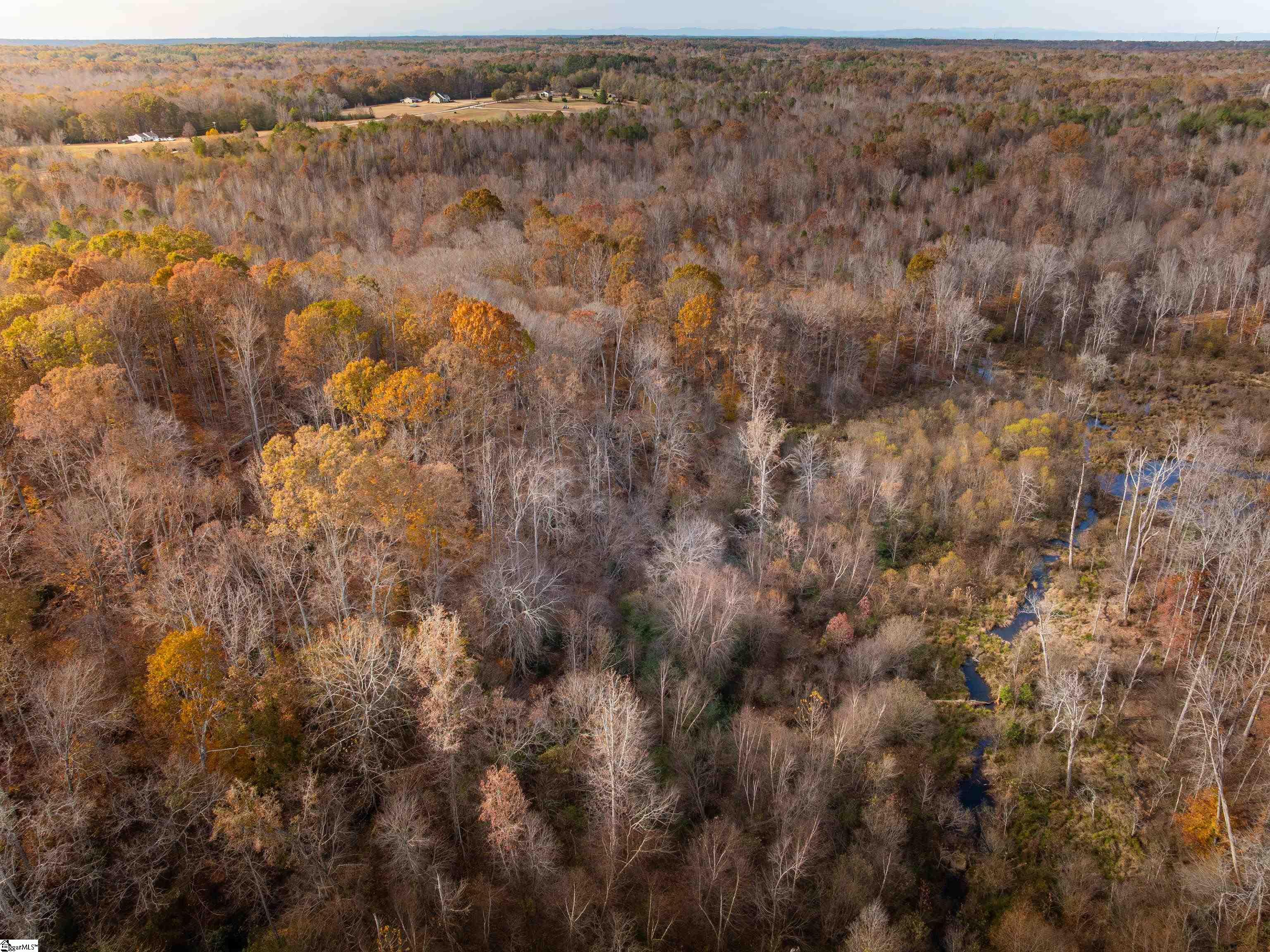 217 West Chapman Road, Unit LOT 1 Belton, SC 29627 - Photo 29 of 44