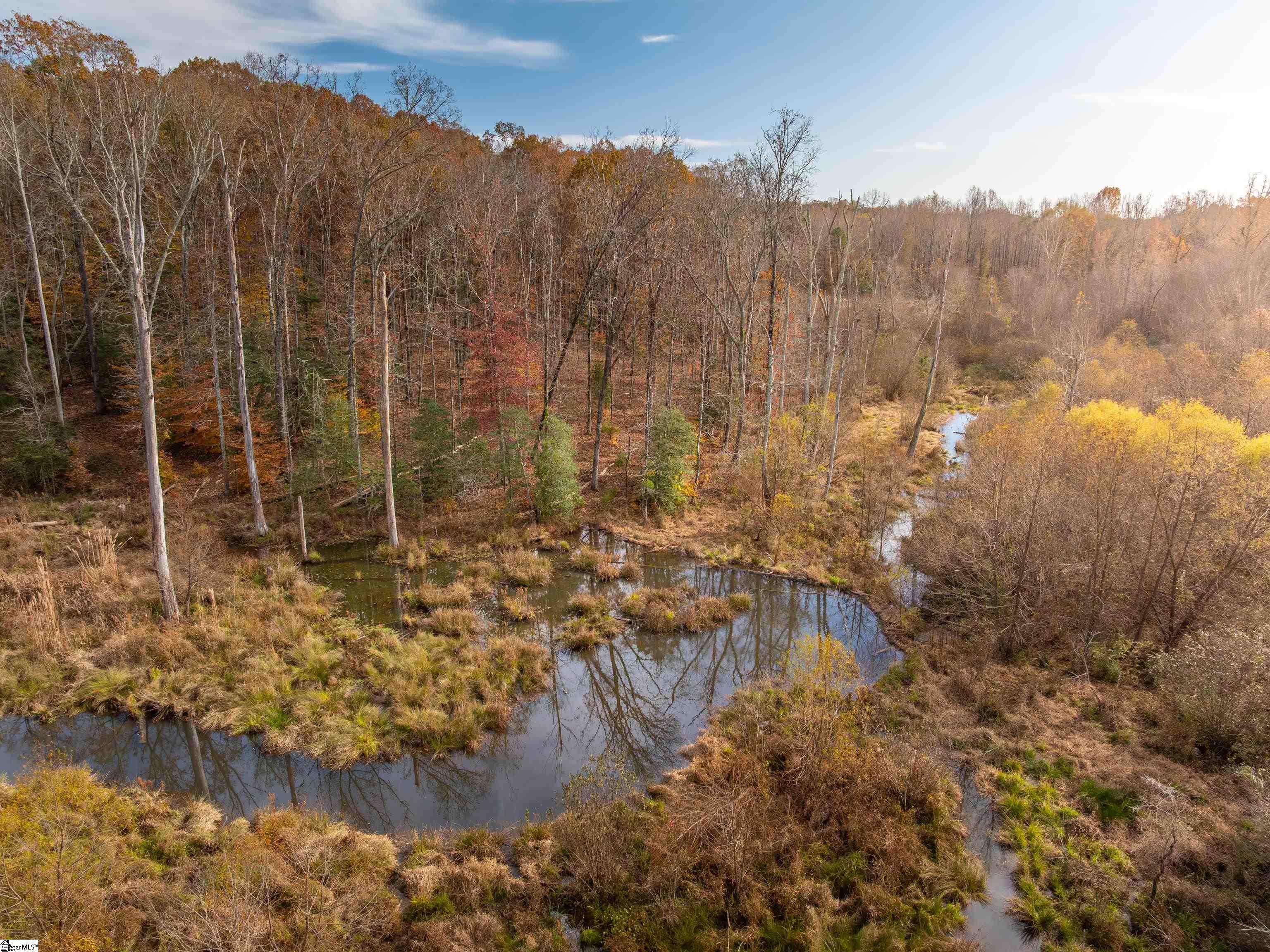 217 West Chapman Road, Unit LOT 1 Belton, SC 29627 - Photo 3 of 44