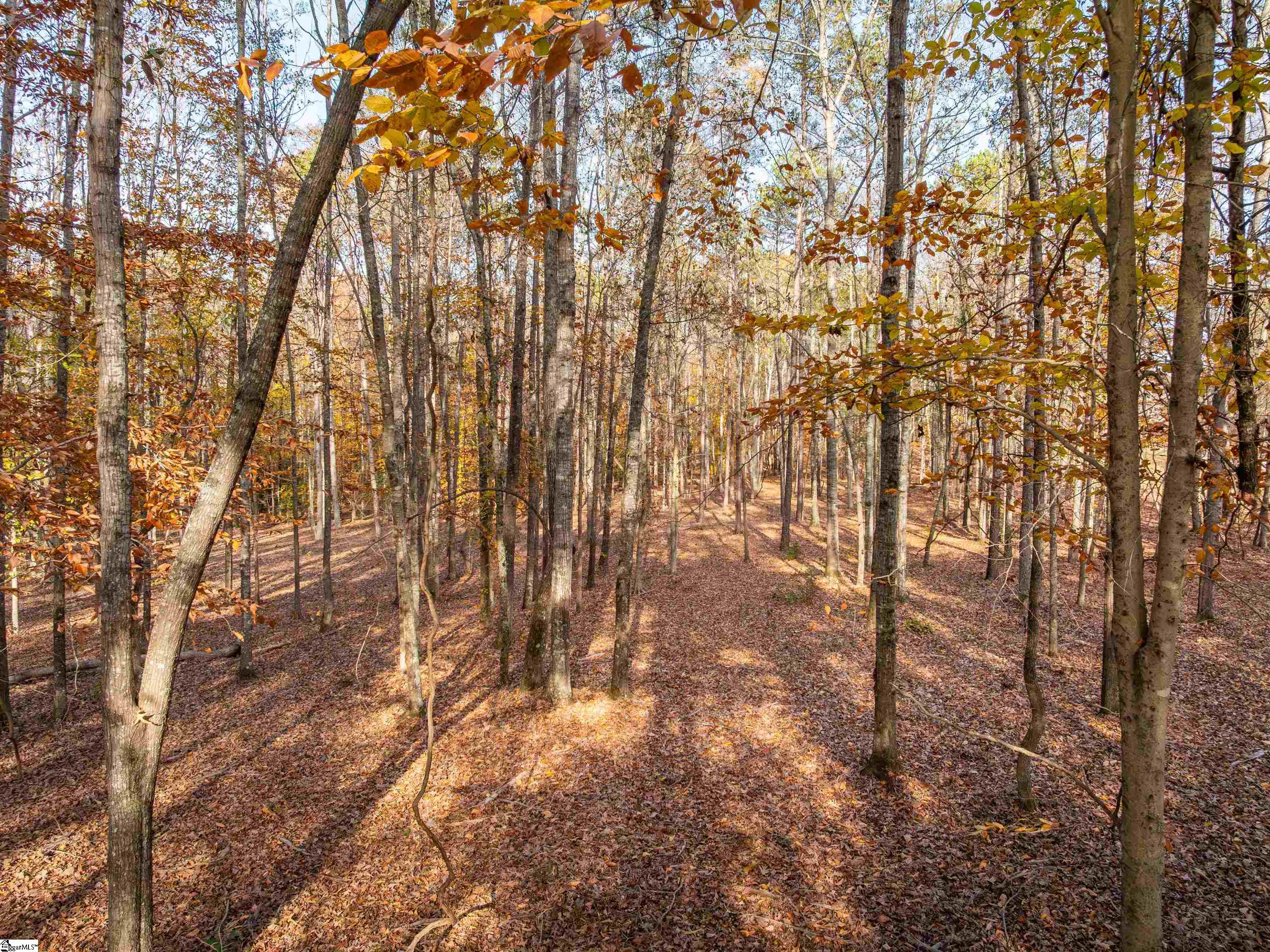 217 West Chapman Road, Unit LOT 1 Belton, SC 29627 - Photo 31 of 44