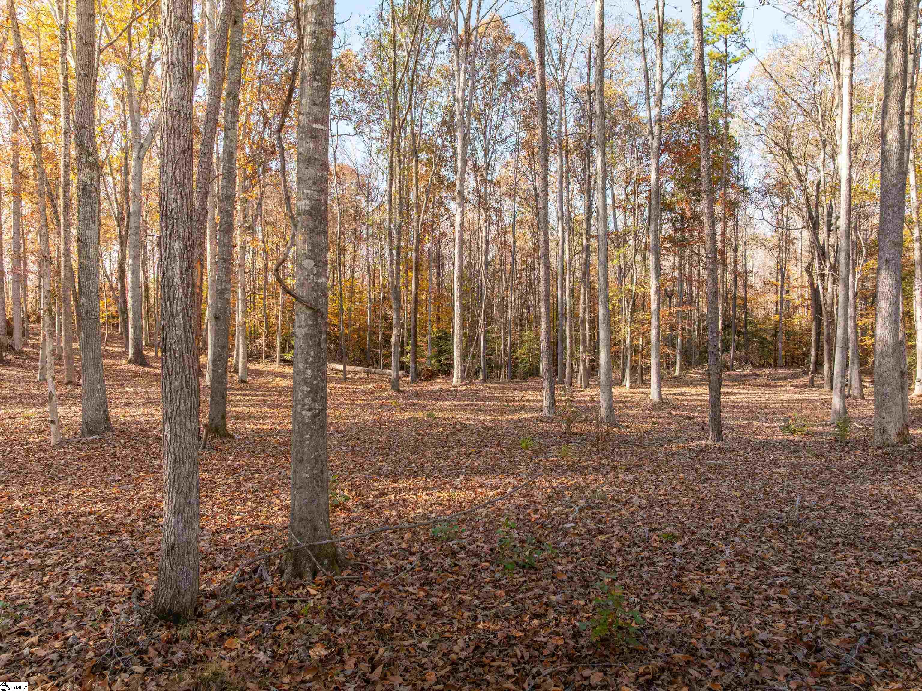 217 West Chapman Road, Unit LOT 1 Belton, SC 29627 - Photo 32 of 44