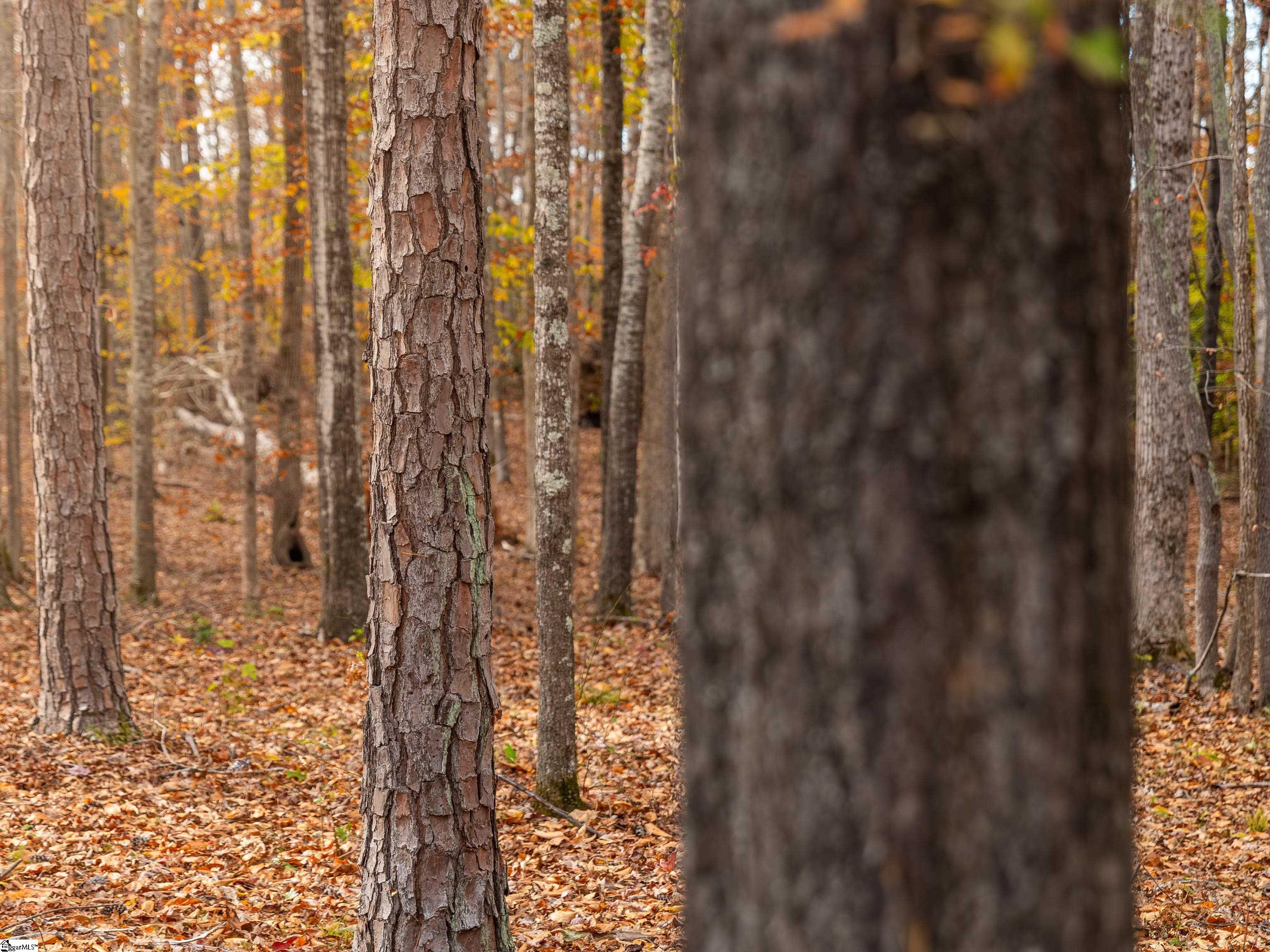 217 West Chapman Road, Unit LOT 1 Belton, SC 29627 - Photo 33 of 44