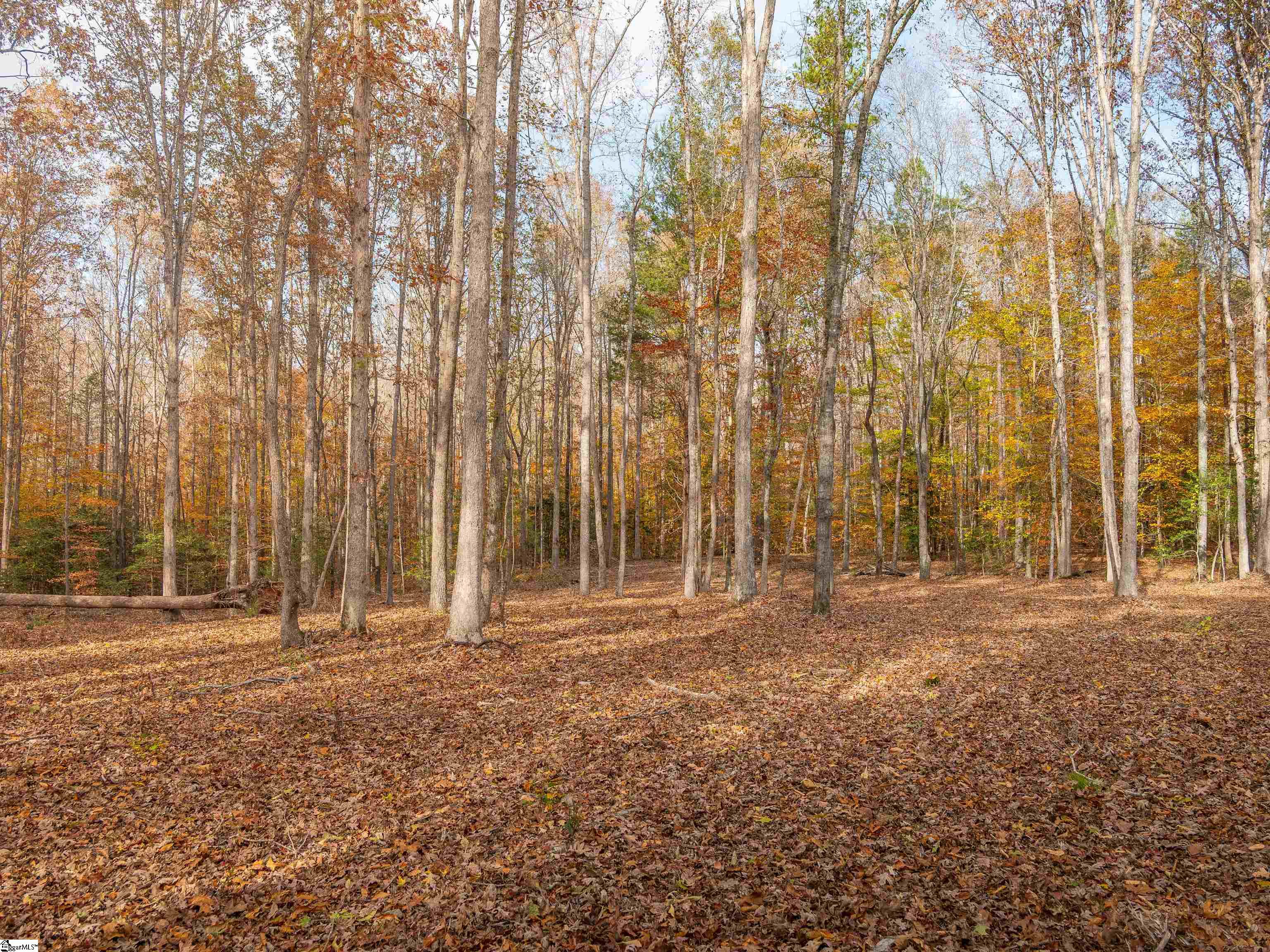 217 West Chapman Road, Unit LOT 1 Belton, SC 29627 - Photo 34 of 44