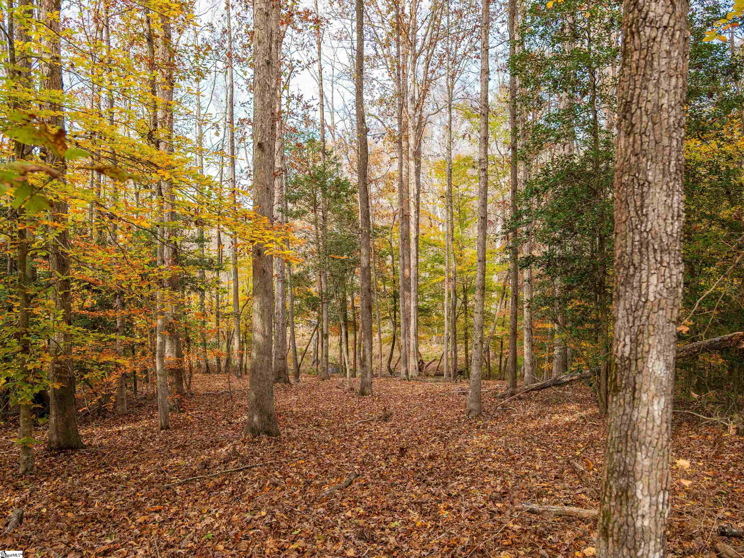 217 West Chapman Road, Unit LOT 1 Belton, SC 29627 - Photo 35 of 44