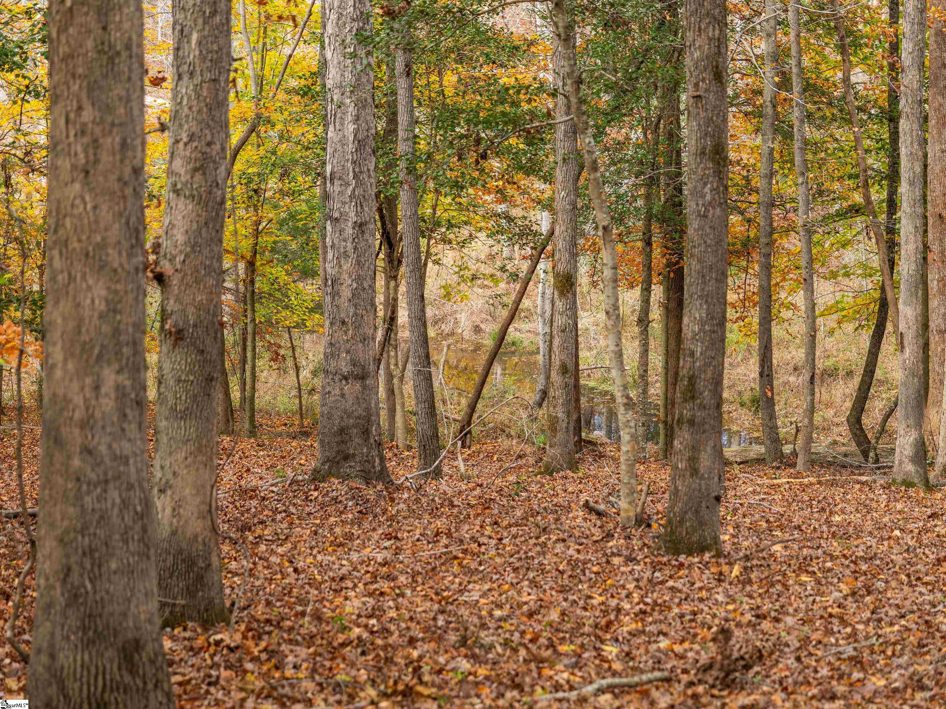 217 West Chapman Road, Unit LOT 1 Belton, SC 29627 - Photo 36 of 44