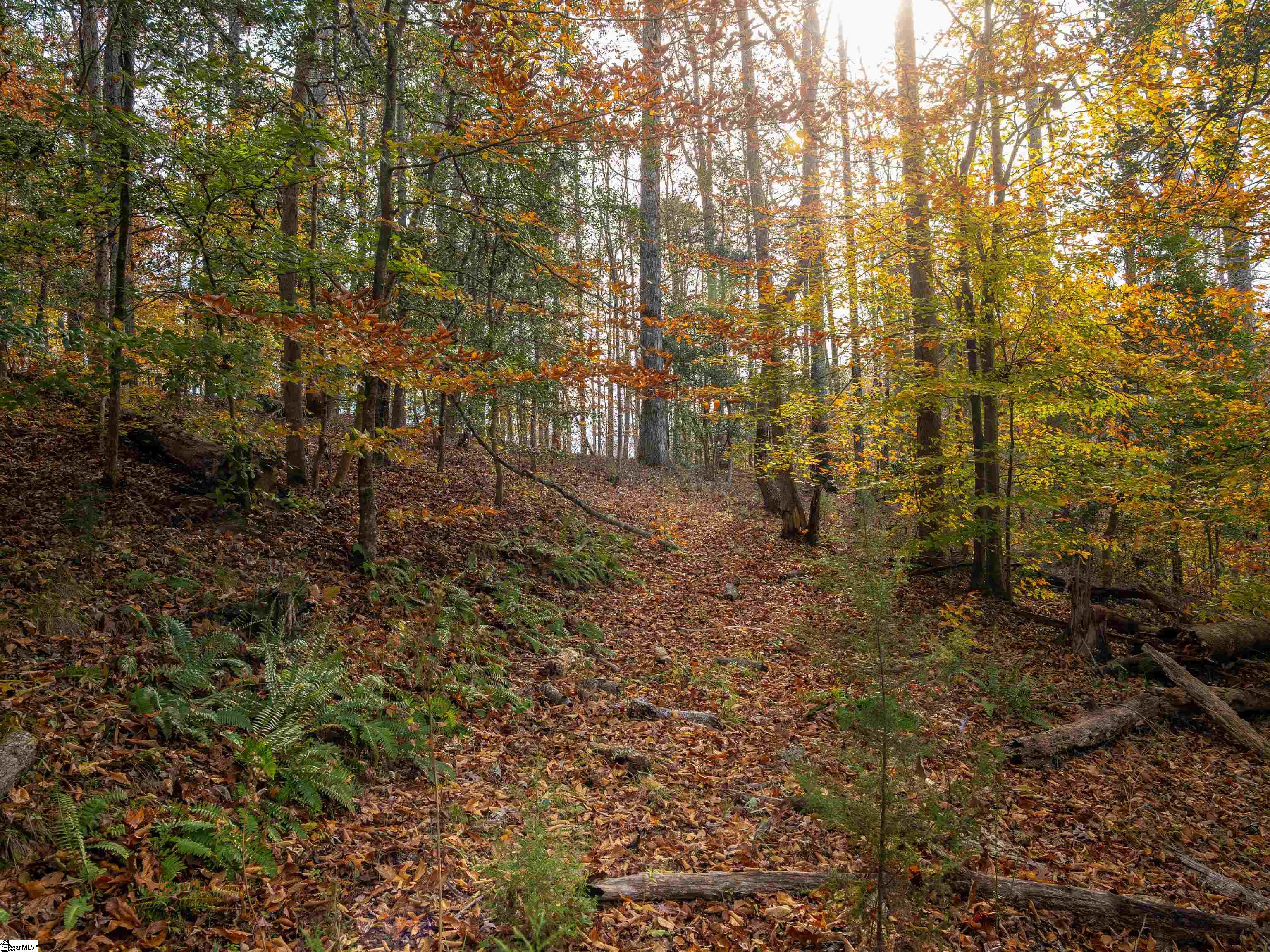 217 West Chapman Road, Unit LOT 1 Belton, SC 29627 - Photo 4 of 44