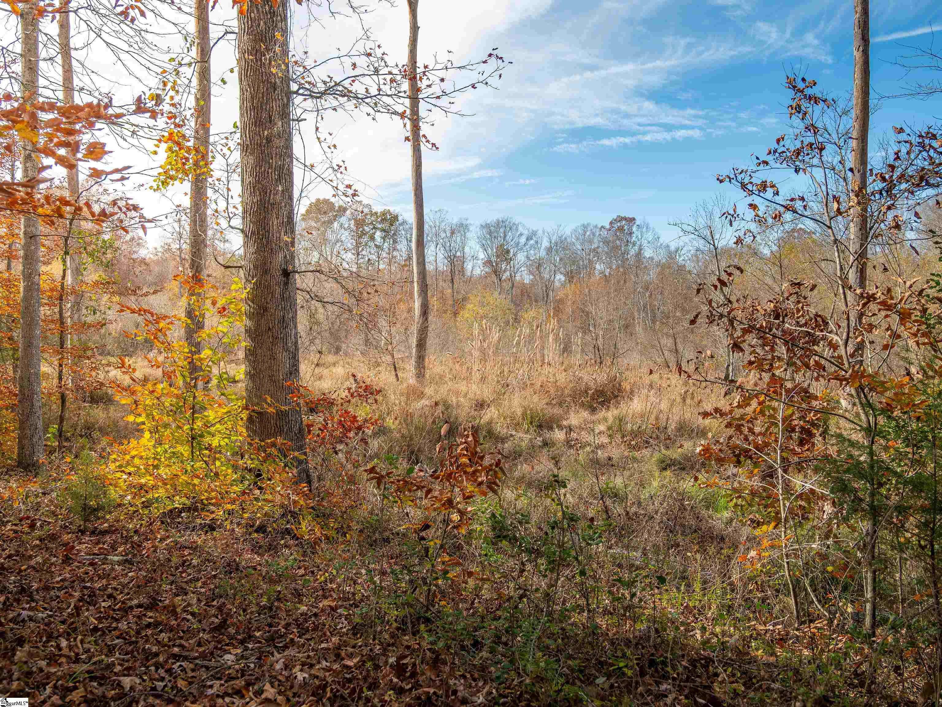 217 West Chapman Road, Unit LOT 1 Belton, SC 29627 - Photo 41 of 44