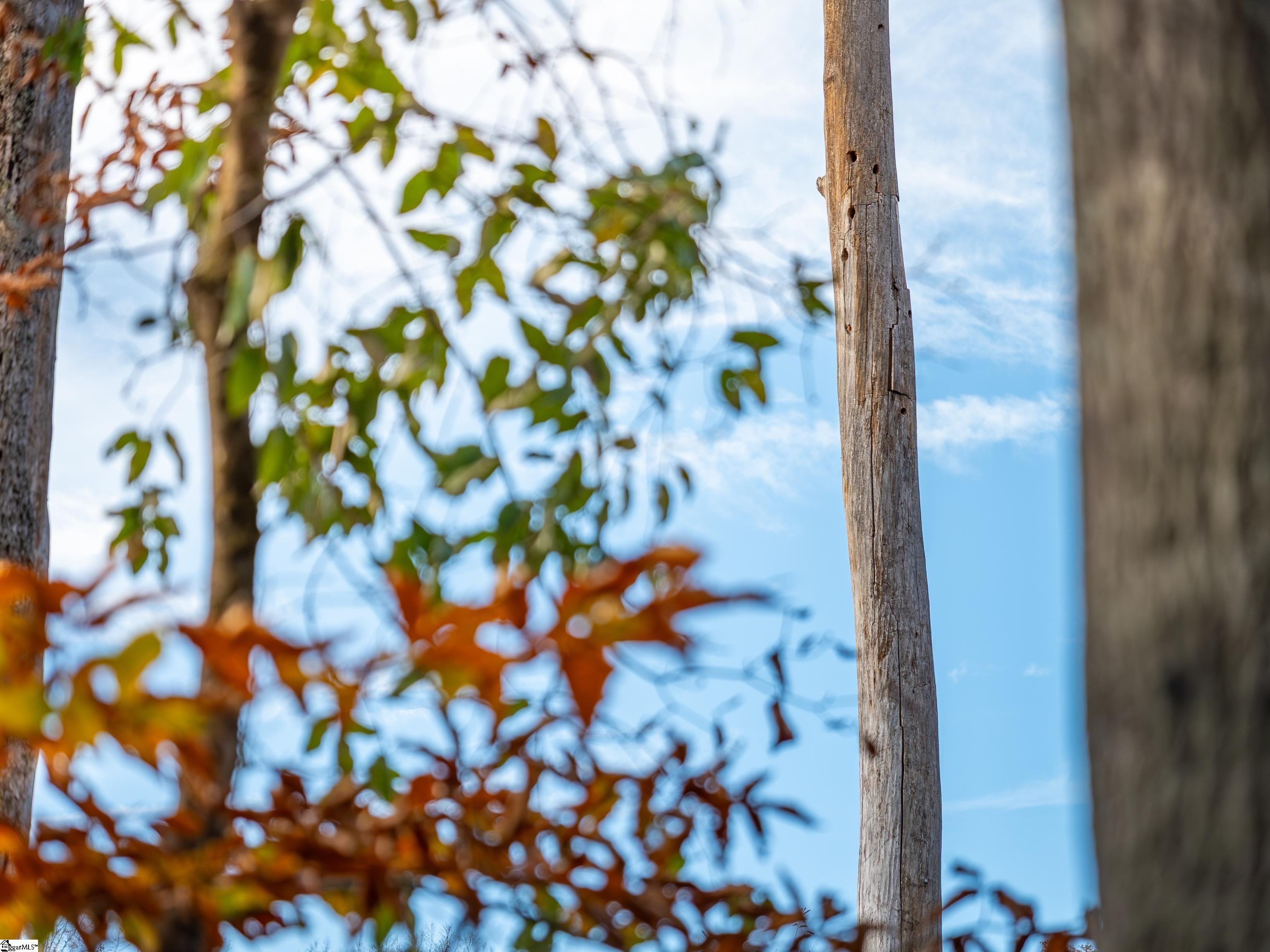 217 West Chapman Road, Unit LOT 1 Belton, SC 29627 - Photo 42 of 44