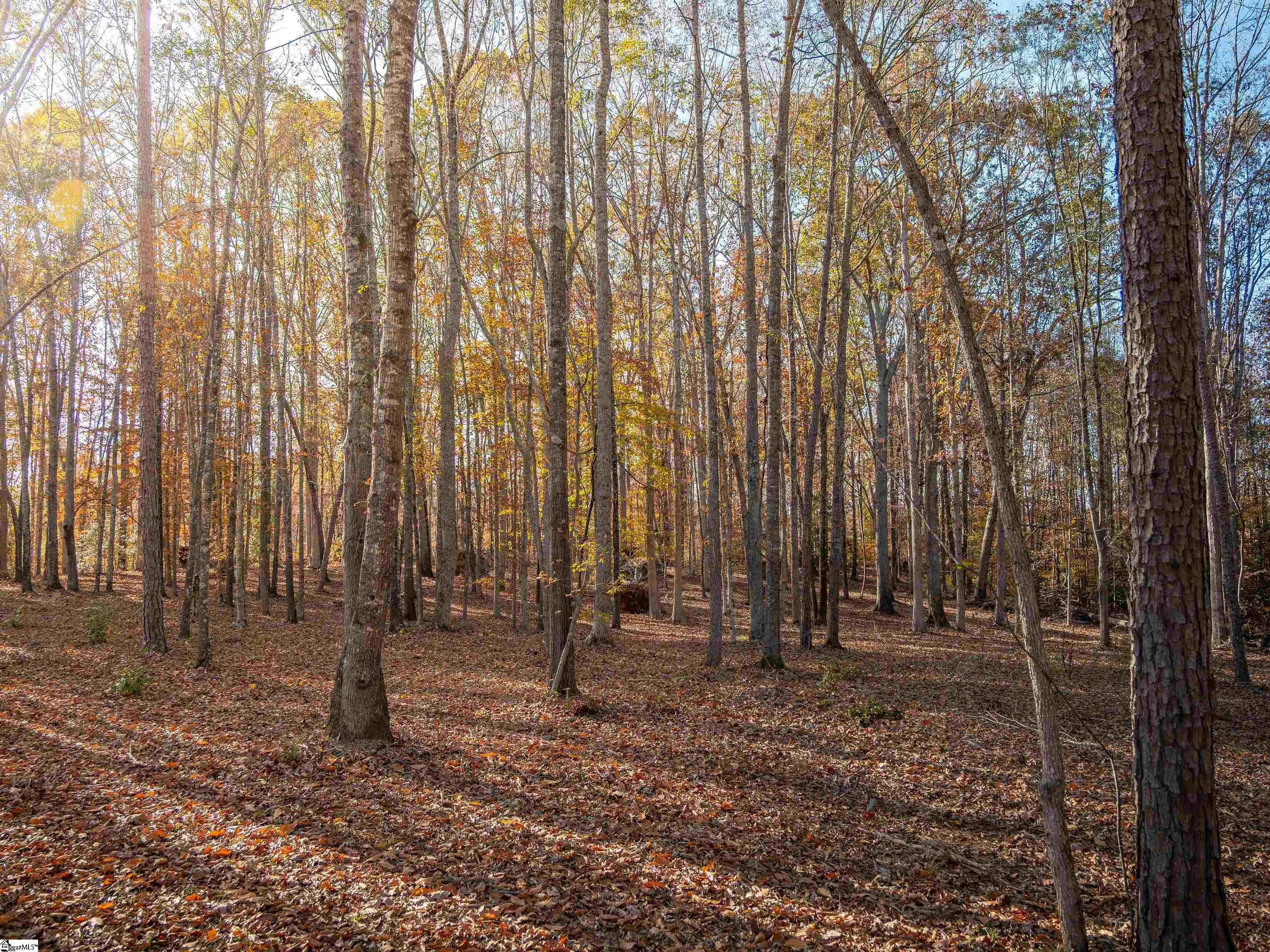 217 West Chapman Road, Unit LOT 1 Belton, SC 29627 - Photo 43 of 44