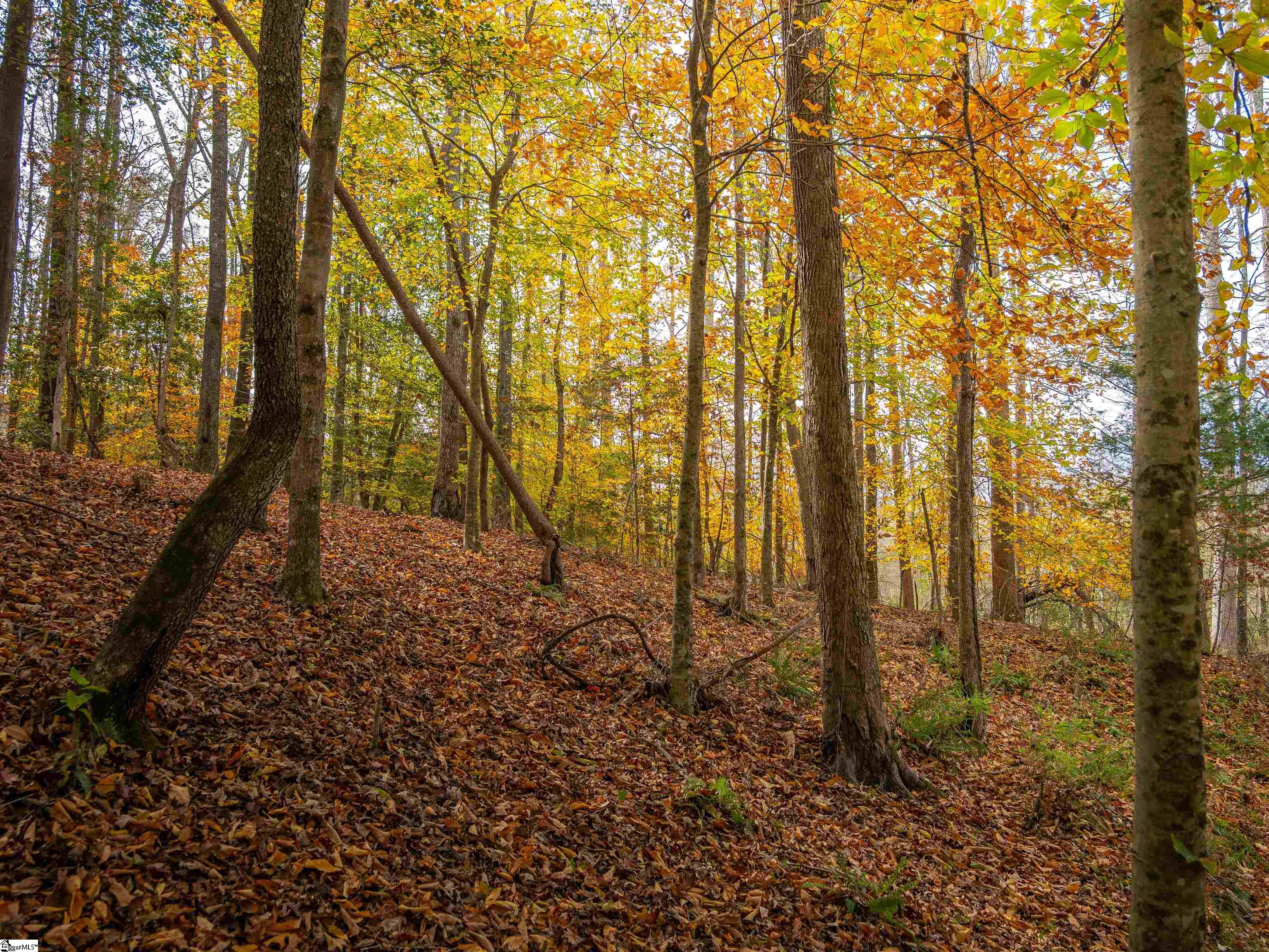 217 West Chapman Road, Unit LOT 1 Belton, SC 29627 - Photo 5 of 44