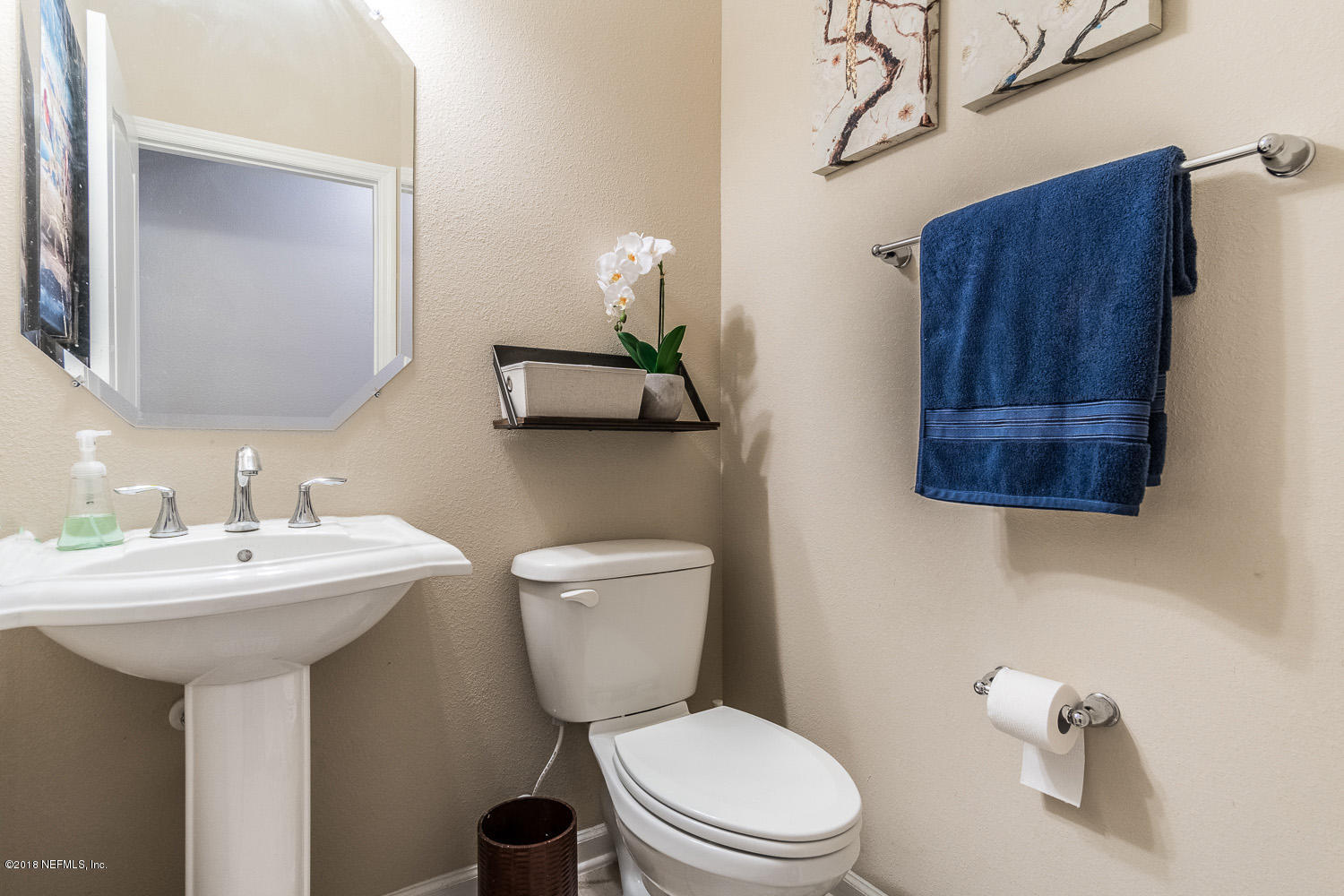 3799 Chasing Falls Road Orange Park, FL 32065 - Photo 13 of 41 Bath half