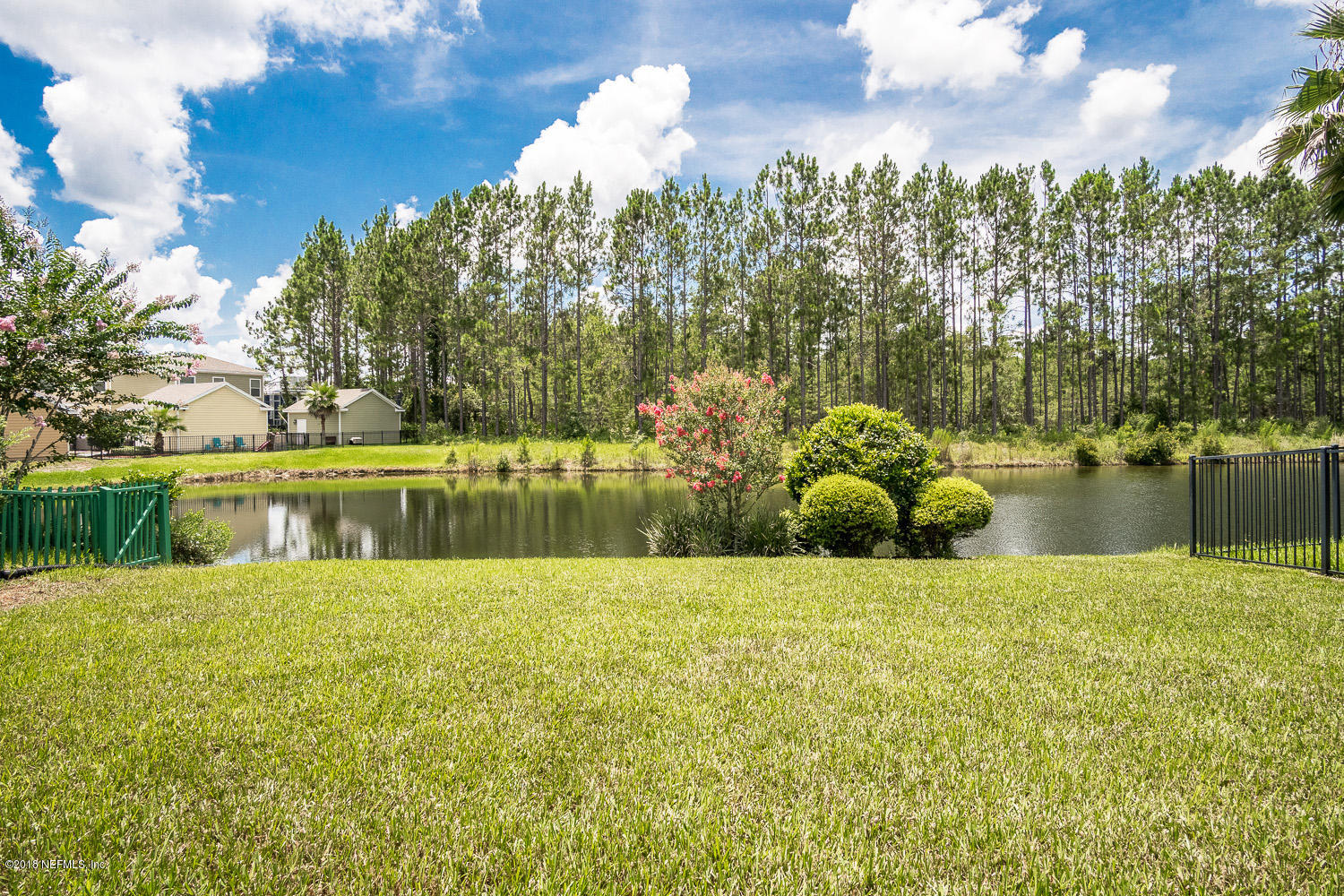 3799 Chasing Falls Road Orange Park, FL 32065 - Photo 2 of 41 Backyard 2