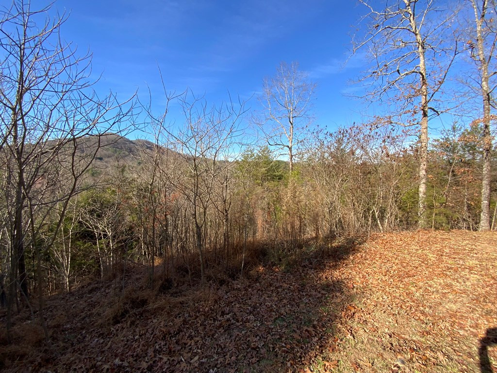 0 Brasstown View Road Murphy, NC 28906 - Photo 2 of 12