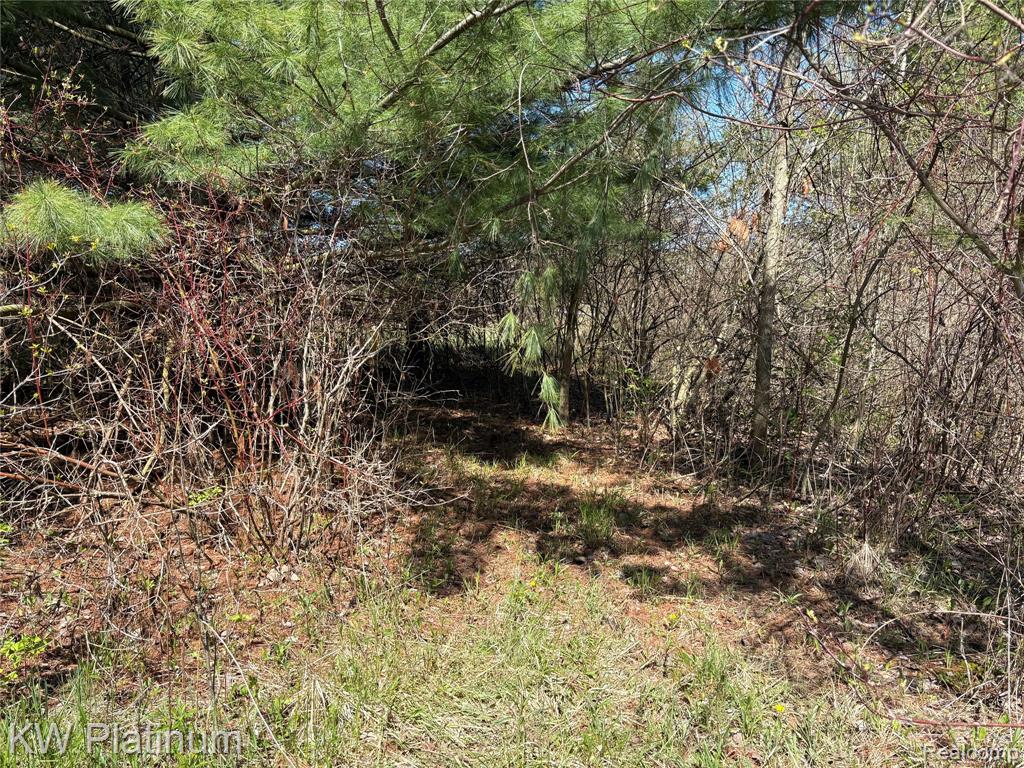 0 North Road Fort Gratiot, MI 48059 - Photo 11 of 18