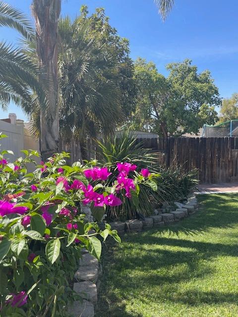 1712 Poppy Meadow Court Coalinga, CA 93210 - Photo 29 of 30 a view of a flower in a yard