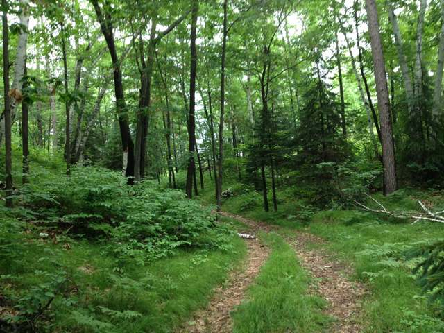 Lot B Rolling Ridge Road Tomahawk, WI 54487 - Photo 3 of 13 Gallery Image 3