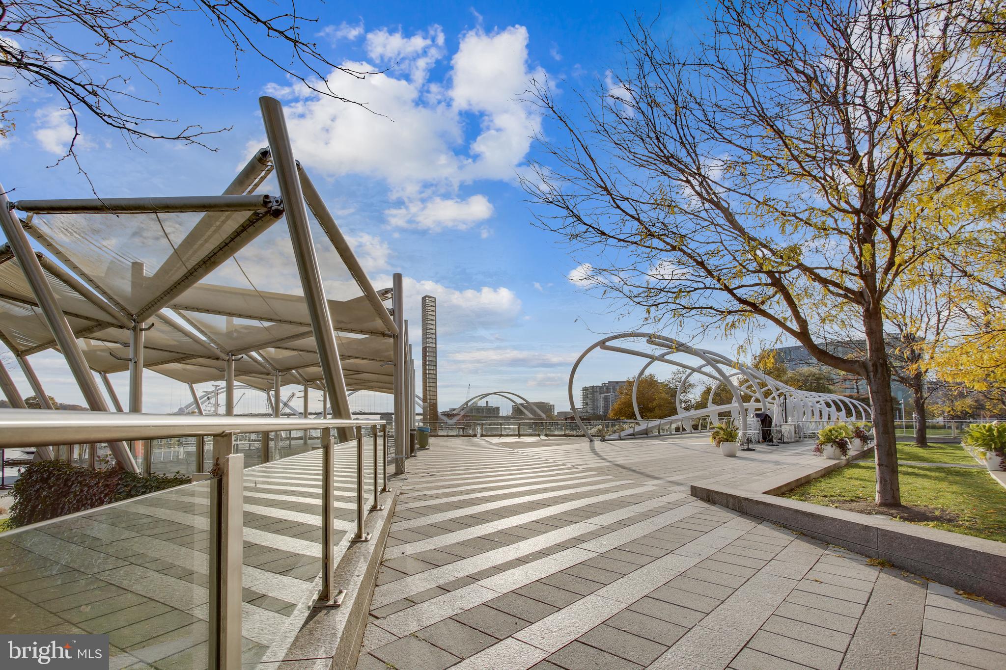 1300 4th Street Southeast, Unit 408 Washington, DC 20003 - Photo 48 of 57 Beautiful Yards Park