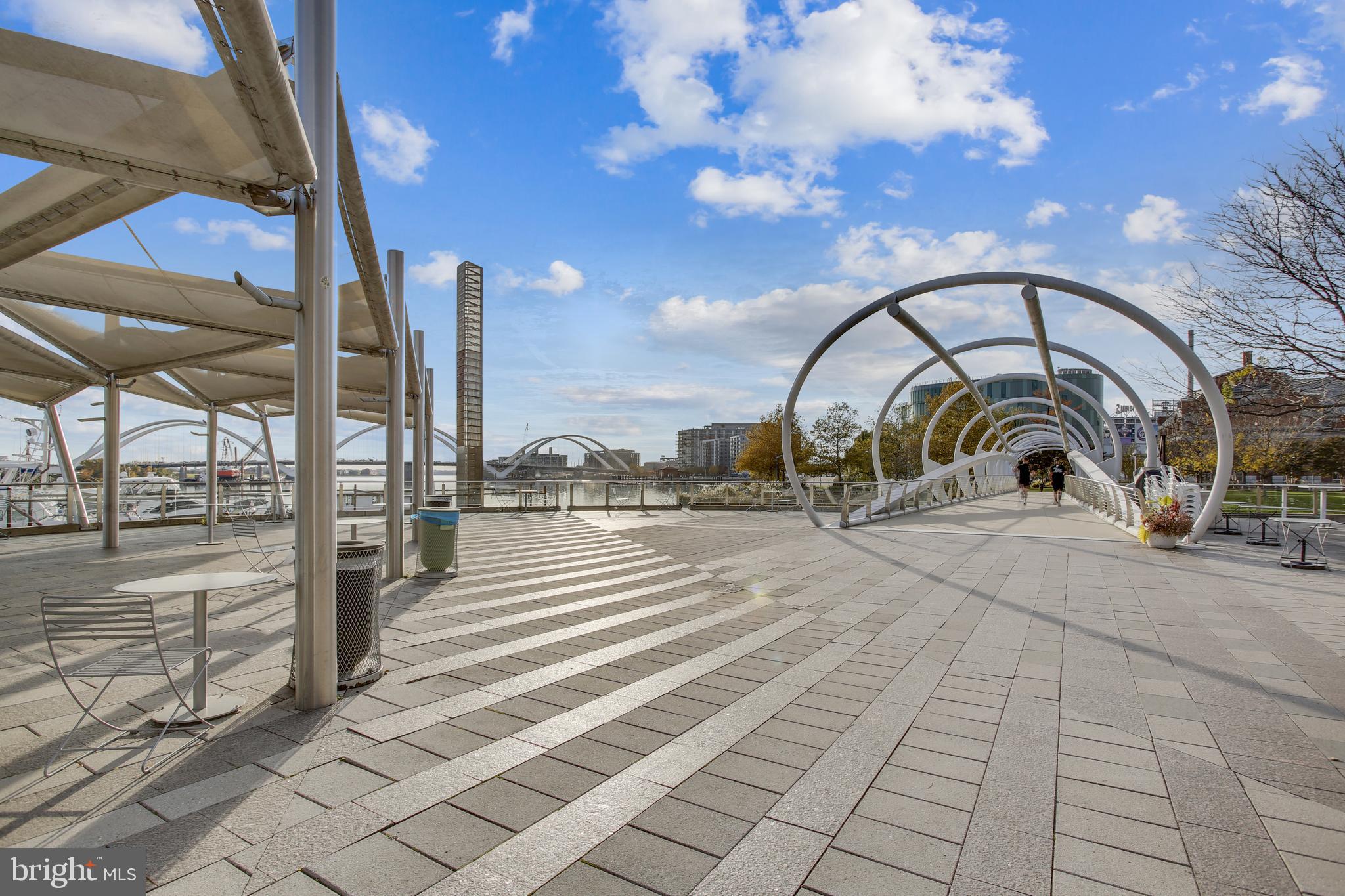 1300 4th Street Southeast, Unit 408 Washington, DC 20003 - Photo 49 of 57 Beautiful Yards Park