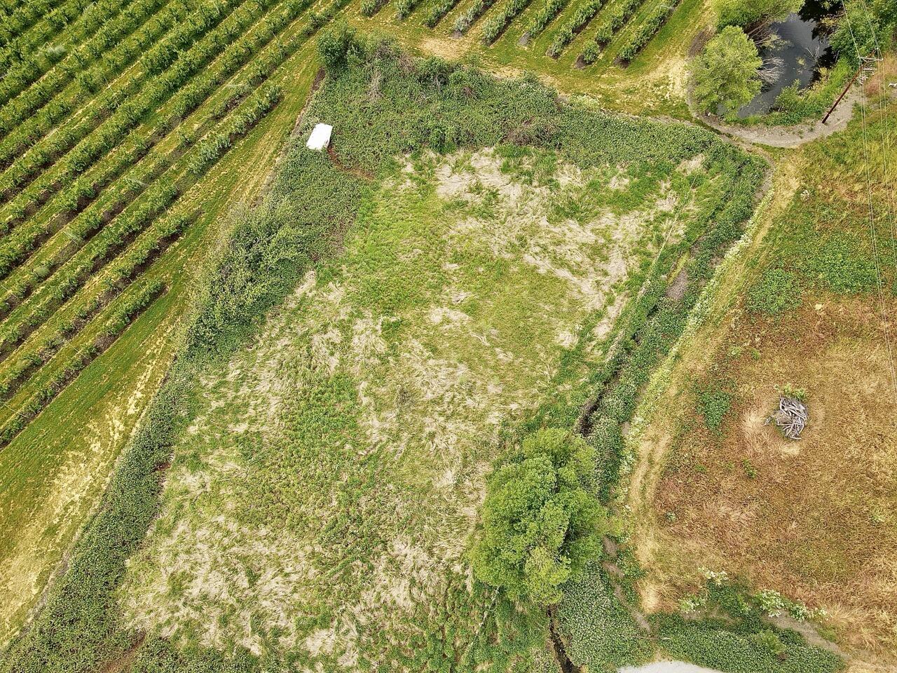 258 Cabbage Lane Phoenix, OR 97535 - Photo 9 of 10 DJI_0437 Large