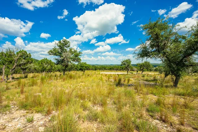 a view of a yard with swimming pool